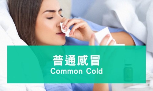 权威哺乳期妇女呼吸道感染怎么办平台,分享专业哺乳期呼吸道感染可以喂奶吗知识_哺乳期下呼吸道感染网